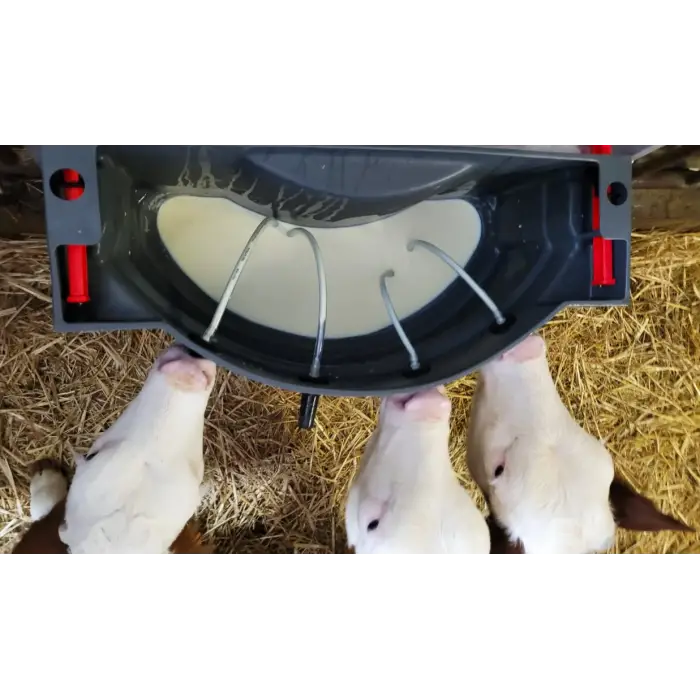 Milk Bar™ Buzağı Emziği – Round Back - 10lu Kutu