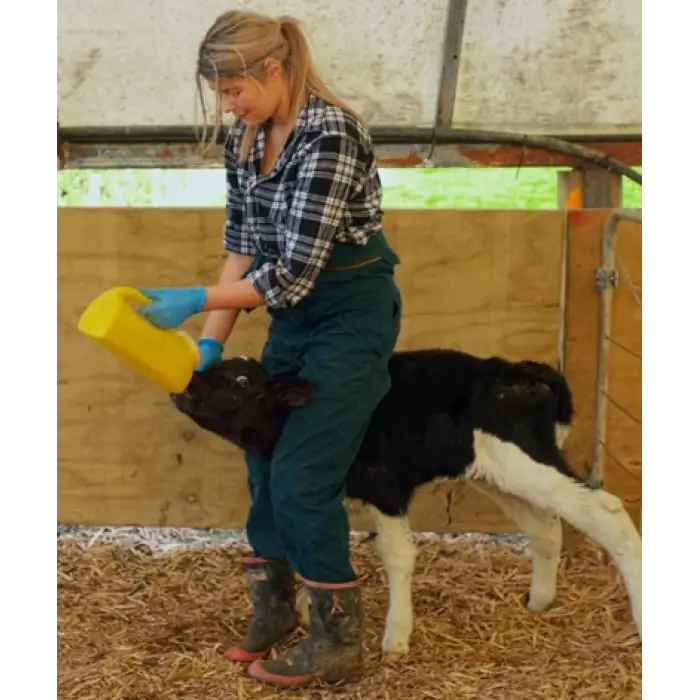 Milk Bar™ Eğitim Emziği - 10lu Kutu