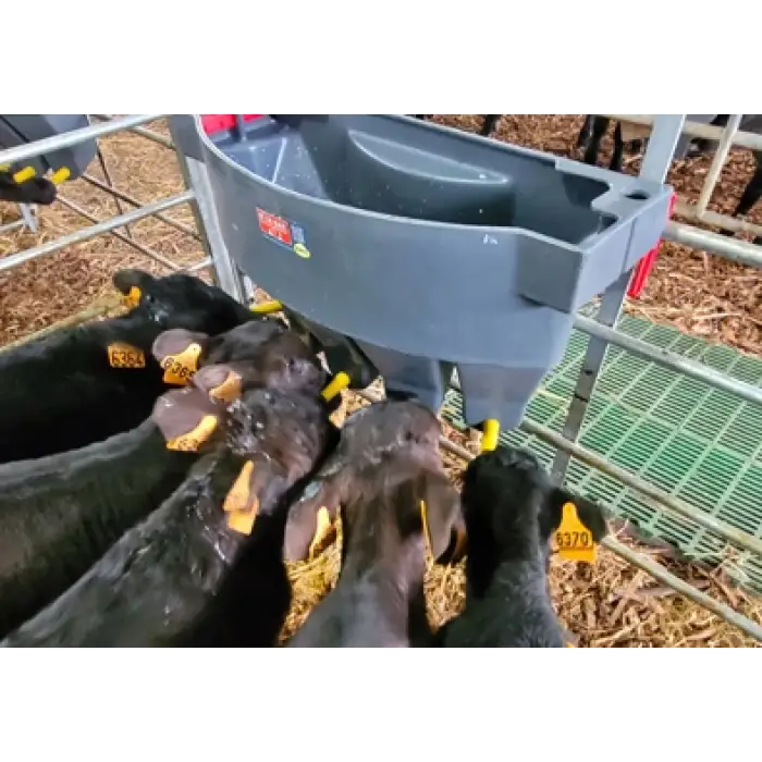 Milk Bar™ Eğitim Emziği - 10lu Kutu