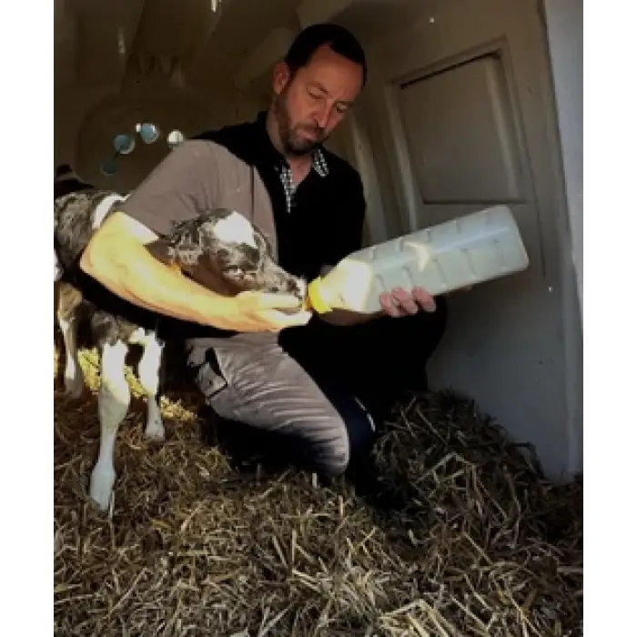 Milk Bar™ Revolution Biberona Geçme Eğitim Emziği - 100lü Kutu