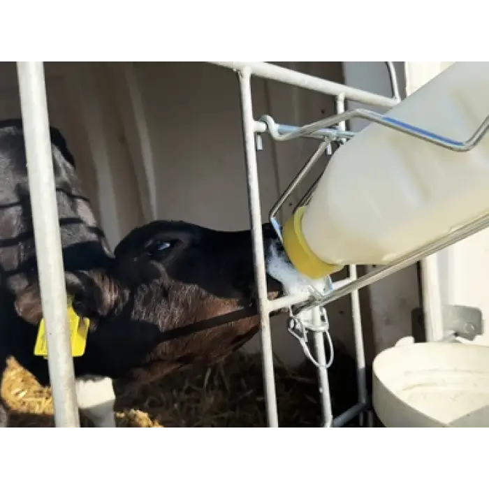 Milk Bar™ Revolution Biberona Geçme Eğitim Emziği - 100lü Kutu