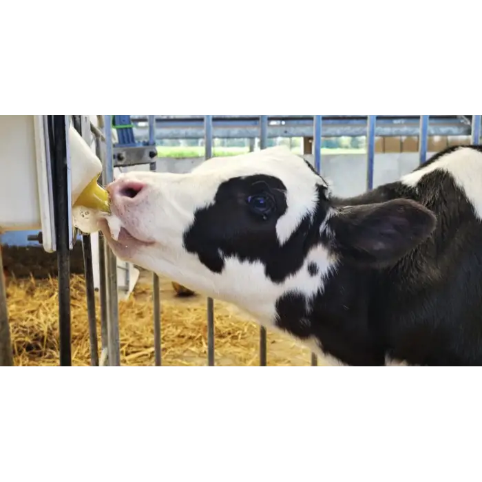 Milk Bar™ Revolution Biberona Geçme Eğitim Emziği - 100lü Kutu