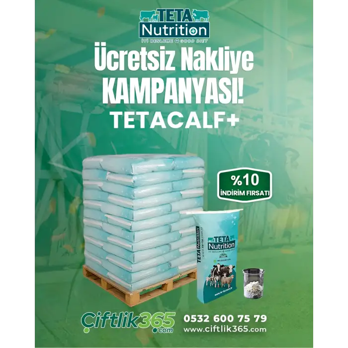 TETACALF+ 1 PALET (40 ADET) 25 KG