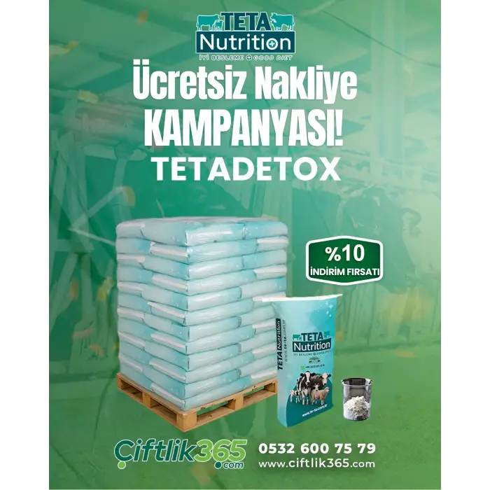 TETADETOX 1 PALET (40 ADET) 25 KG