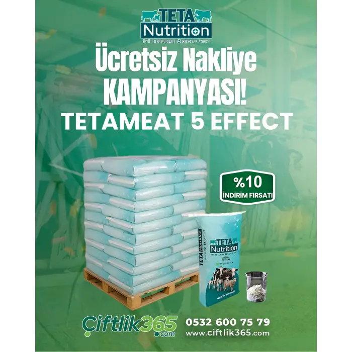 TETAMEAT 5 EFFECT 1 PALET (40 ADET) 25 KG