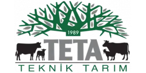 TETA