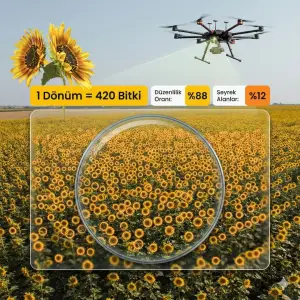 AGROVECH DRON AYÇİÇEĞİ SAYIMI PAKETİ