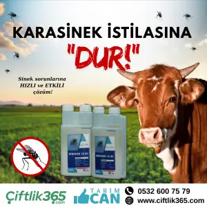 DİNOVEK SİNEK İLACI 5 Litre