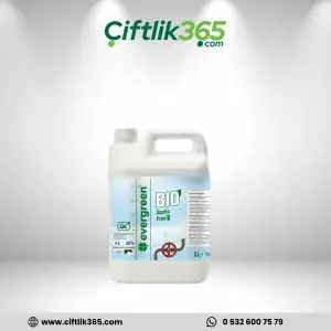 Evergreen Bio Septik Evsel 5L