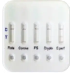 İSHAL TEST KİTİ 10 ADET/KUTU