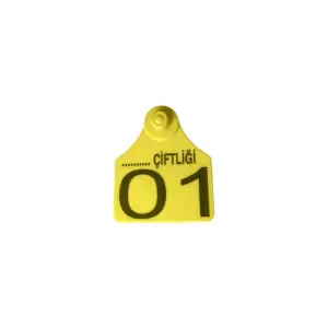 SARI BÜYÜKBAŞ KULAK KÜPESİ