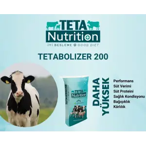 TETABOLIZER 200 - 1 PALET (40 ADET) - 25 KG