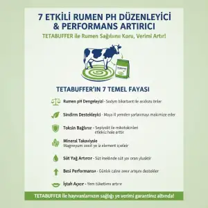 TETABUFFER 25 KG