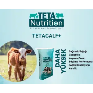 TETACALF+ 8x750 GRAM 1 KOLİ