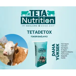TETADETOX 1 PALET (40 ADET) 25 KG