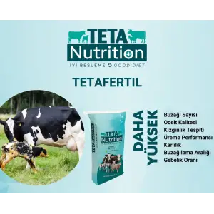 TETAFERTIL 1 PALET (40 ADET) 25 KG