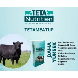 TETAMEAT 5 EFFECT 1 PALET (40 ADET) 25 KG