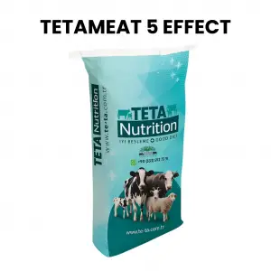 TETAMEAT 5 EFFECT 1 ADET 25 KG