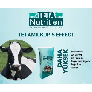 TETAMILK 5 EFFECT 1 PALET (40 ADET) 25 KG