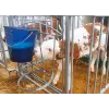Calf Buddy™ Buzağı Emziği 10lu Kutu