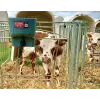 Milk Bar™ 4L Calf Feeder