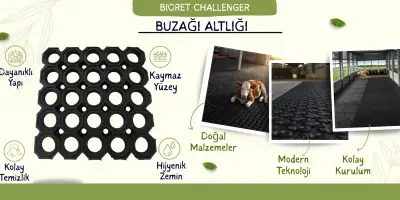 Çiftliğinizin En Büyük Sorununa Devrim Niteliğinde Çözüm: Challenger® Geogridli Güçlendirilmiş Hayvan Altlığı