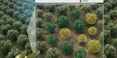 AGROVECH DRON ZEYTİN AĞACI ANALİZİ PAKETİ: Zeytinliğinizin Dijital DNAsını Ortaya Çıkarın