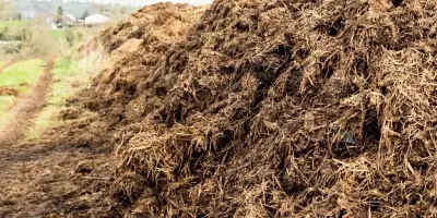 Modern Ahırlarda Gübre Temizliği – Temel Bilgiler