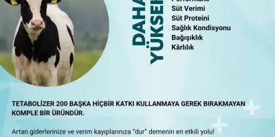 TETABOLIZER 200 ile Süt Sığırlarında Verimliliği ve Karlılığı Artırmanın Yolları