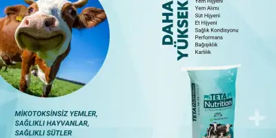 TETADETOX ile Mikotoksin Tehlikesine Son!