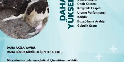 TETAFERTIL: Hayvanlarda Üreme Performansını Artıran Devrimsel Çözüm