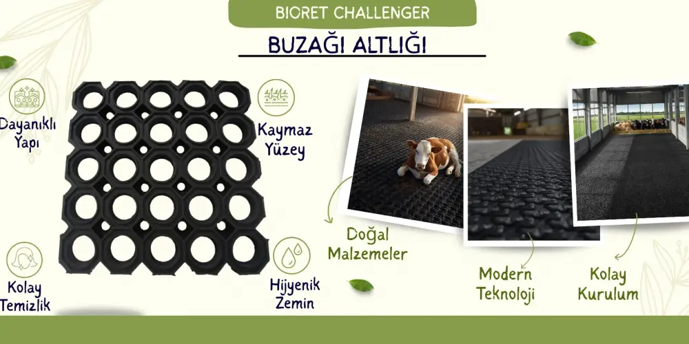 Çiftliğinizin En Büyük Sorununa Devrim Niteliğinde Çözüm: Challenger® Geogridli Güçlendirilmiş Hayvan Altlığı