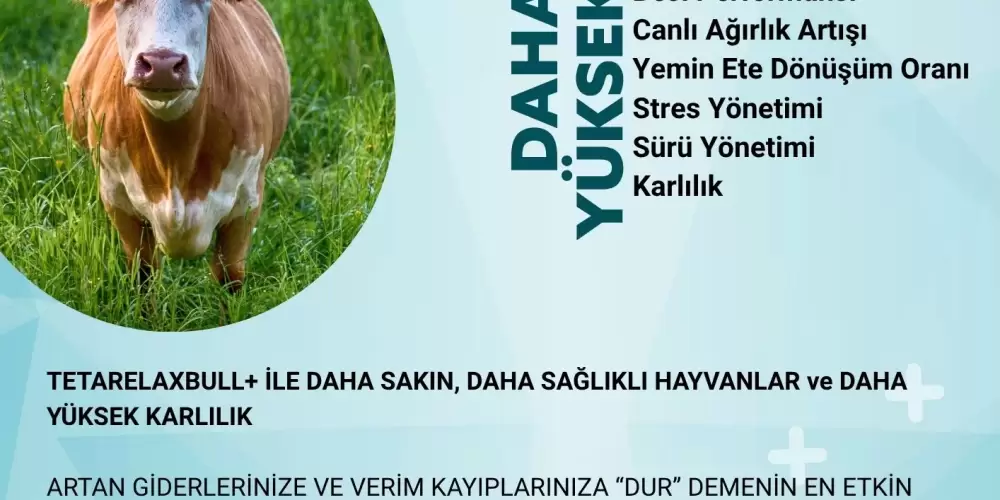 TETARELAXBULL+ ile Hayvanlarda Stres Yönetimi ve Verim Artışı