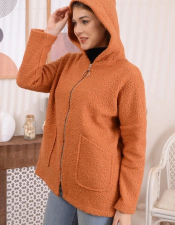 DEES MONT 4501 - TARÇIN