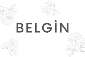 BELGİN