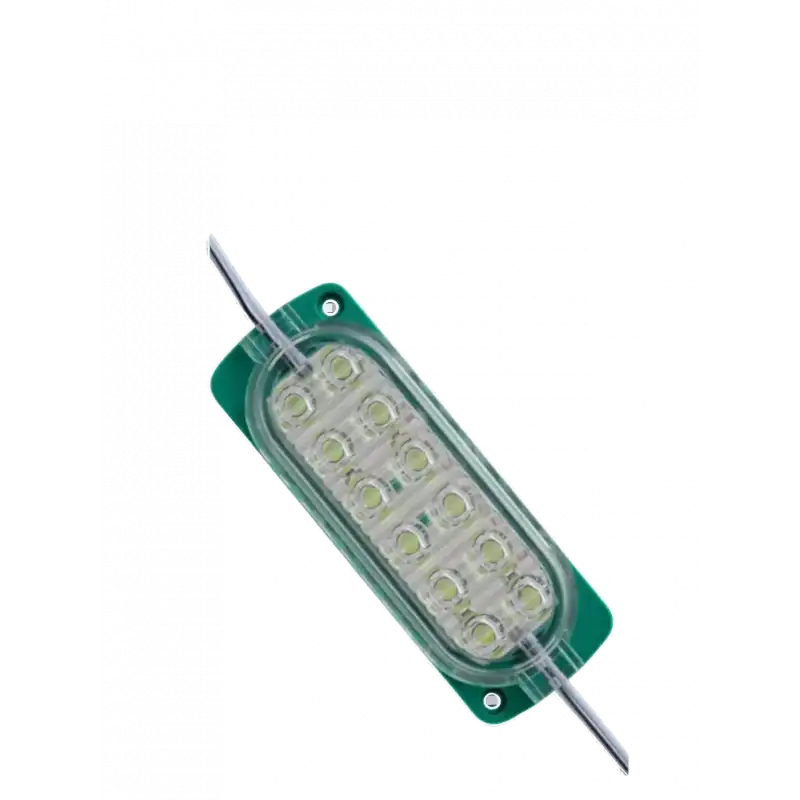 10 Adet 12 Volt 2.4 Watt 12 SMD Ledli Animasyonlu Yeşil Çakar Modül