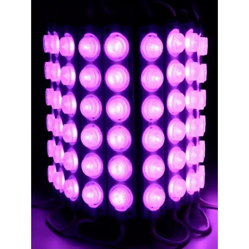 12 Volt 6 Watt 6 Lensli Mor 3030 SMD Led Modül IP65 10 Adet Modül