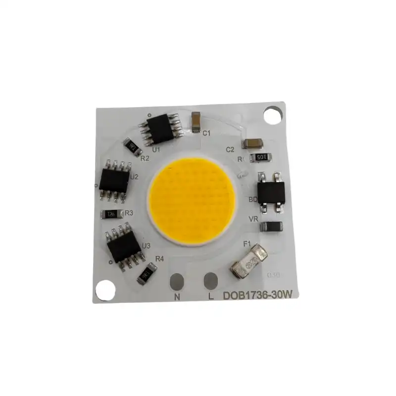 220 Volt 30 Watt 6500K Beyaz Işık Ray Spot Cob Ledi 1 Adet