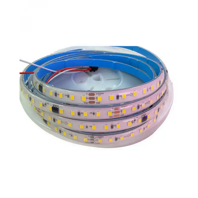 24 Volt 3000K Günışığı ARGB Pixel Magic Kayar 60 Led 5050 SMD IP 67 Dış Mekan 5 Metre
