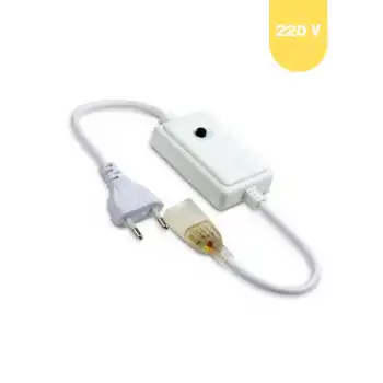 Rgb Hortum Led Fiş 220 V Güç Kablosu 4 Pin
