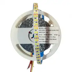 12 Volt 2835 SMD 240 Led 10mm 3 Renk 6500K-4000K-3000K İç Mekan 5 Metre Şerit Led