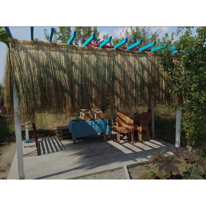 Hasır Püskül Otu Saçaklı Ot 1,20 Metre x 2 Metre