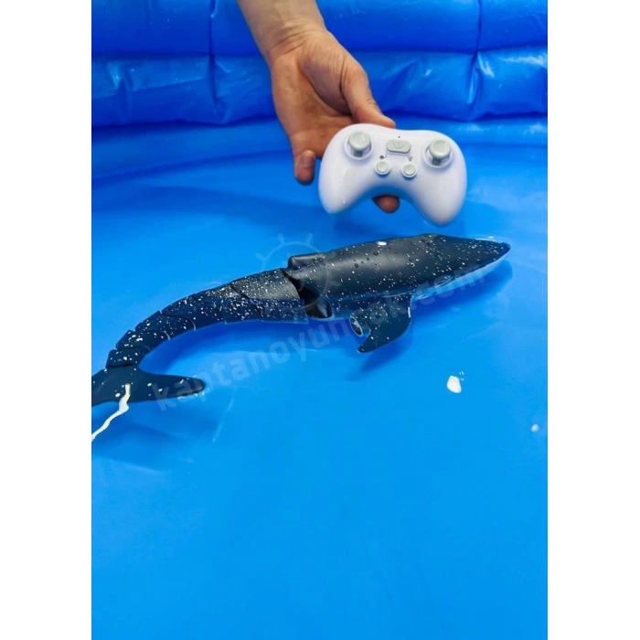 - U/K SU FIŞKIRTAN YÜZEN BALİNA