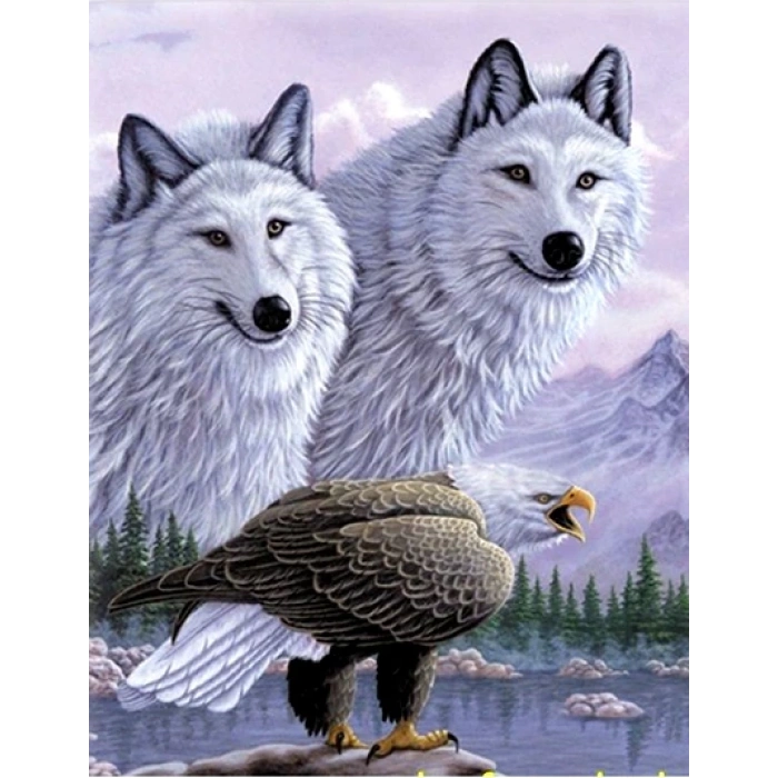 3 Boyutlu   Kartallı Kurt Resmi Tablosu 40x60 cm