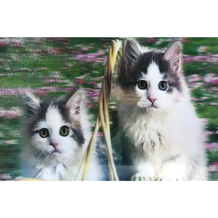 3 Boyutlu   Sevimli Kediler İkili Kedi Resmi Tablosu 40x60 cm