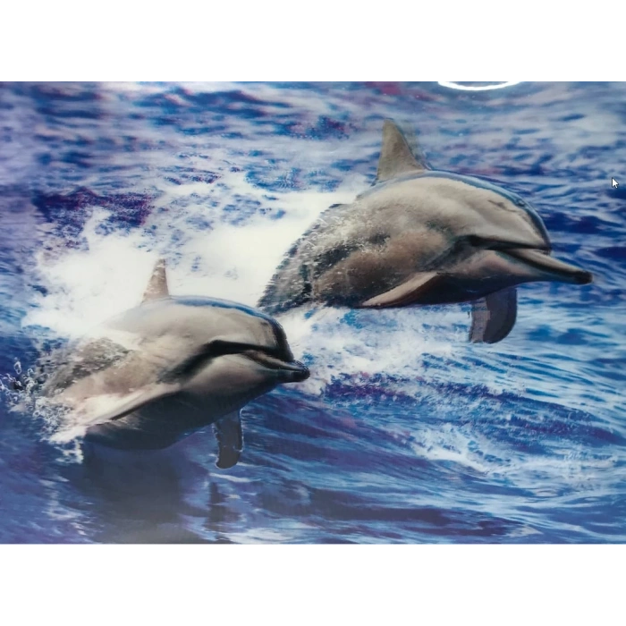 3 Boyutlu   Sevimli Yunuslar İkili Yunus Resmi Tablosu 30x40 cm