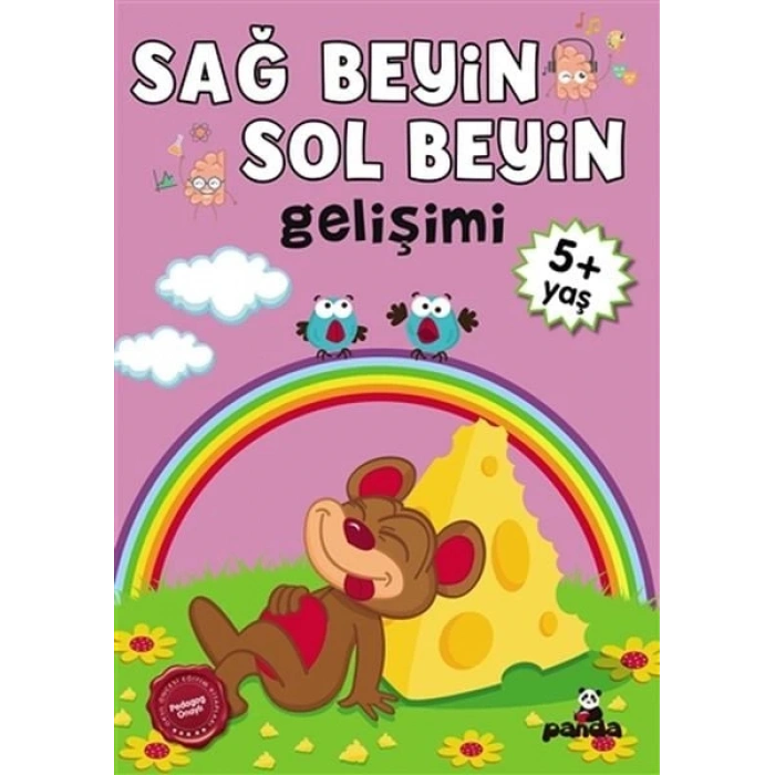 5 Yaş Sağ Beyin-Sol Beyin Gelişimi