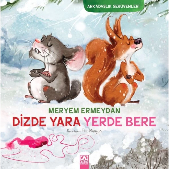 Arkadaşlık Serüvenleri - Dizde  Yerde Bere