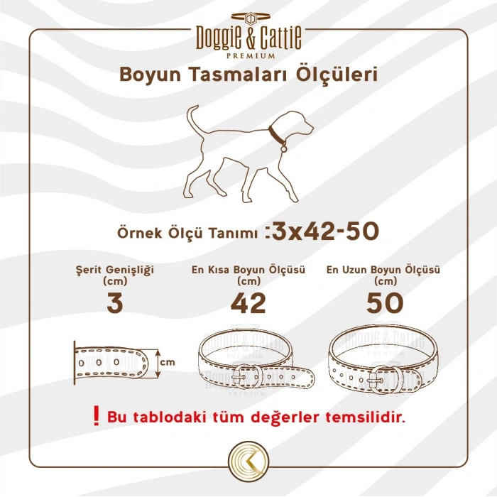Ayarlanabilir Elastik Kedi Boyun Tasması 1 cm x 30 cm Kırmızı