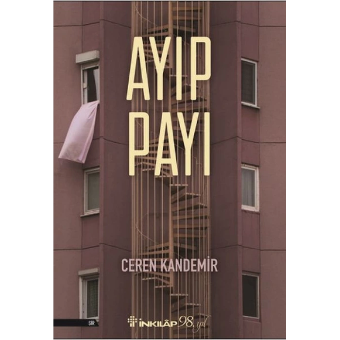 Ayıp Payı